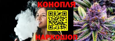 винт Партизанск