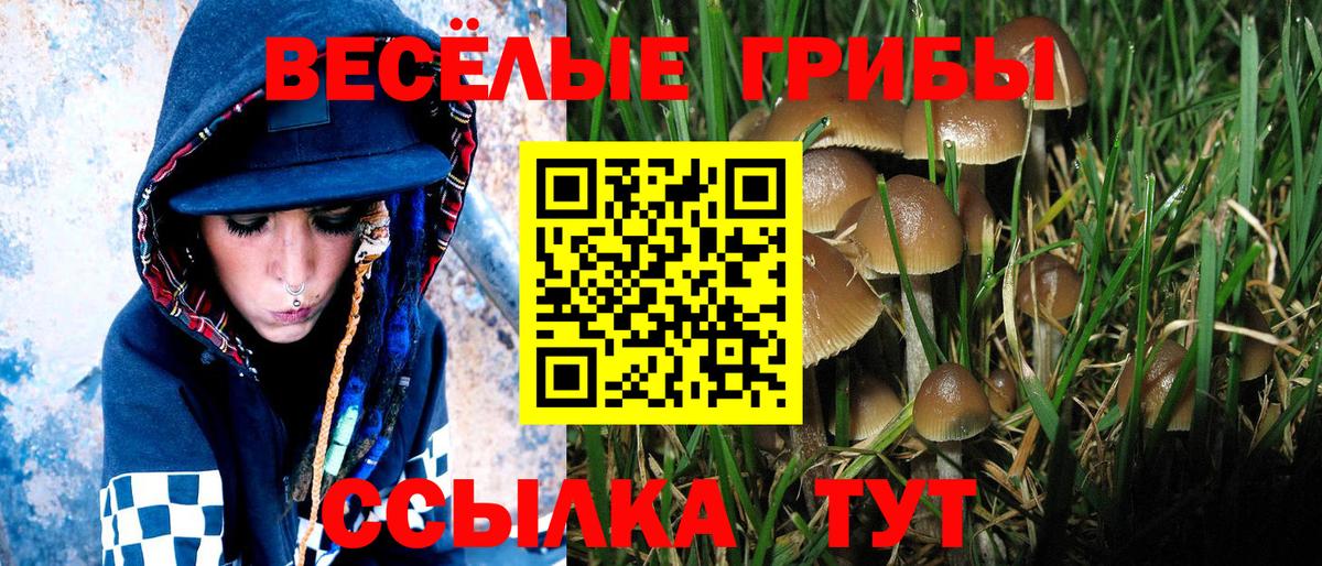 Галлюциногенные грибы Magic Shrooms  Псилоцибиновые грибы прущие грибы  Дзержинск  Вход с VPN 
