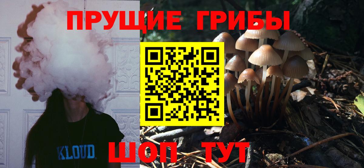 Псилоцибиновые грибы Cubensis Дзержинск
